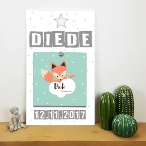 geboorte aankondiging