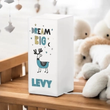 kinderlamp met naam dream big